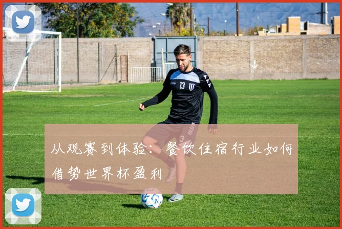 从观赛到体验：餐饮住宿行业如何借势世界杯盈利
